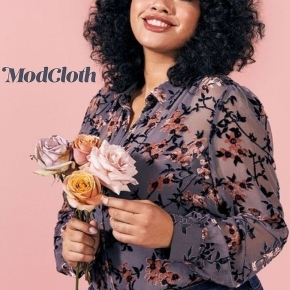 ModCloth Womens Floral Burnout Velvet Sheer Button Up Blouse Grey Navy Pink 4X